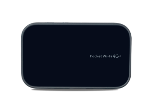 Pocket 4G+ MF19
